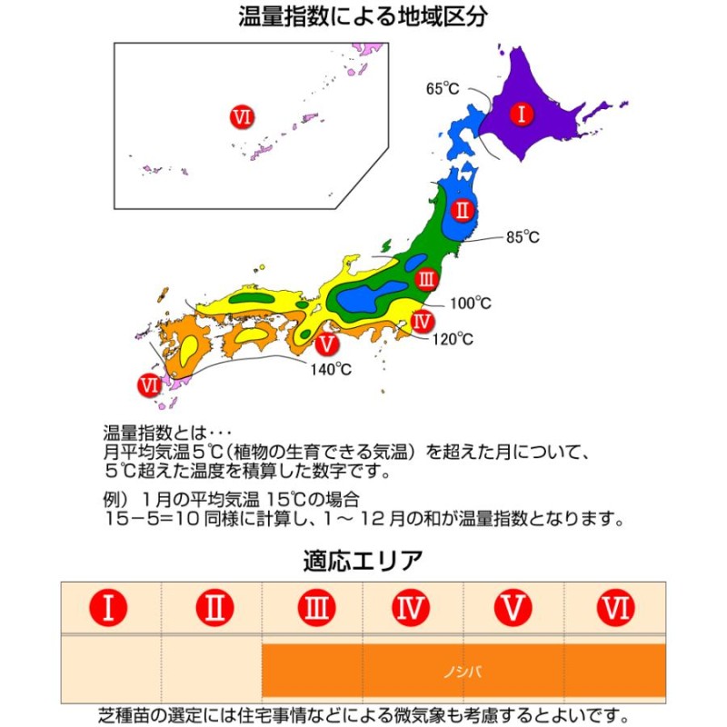 芝 芝生 種 暖地型 Benidai ノシバ 1kg入 12〜18坪用 多年草 | LINE