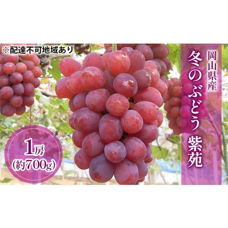 ふるさと納税 ぶどう 2024年 先行予約 冬のぶどう 紫苑 （ 種無し ）1房（約700g） ブドウ 葡萄 岡山県 国産 フルーツ 果物 ギフト 岡山県里庄町