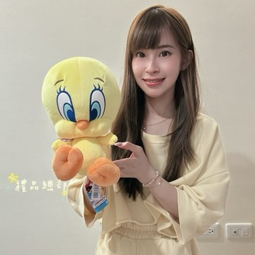 崔蒂娃娃 10.5英吋 崔弟玩偶抱枕 正版授權 翠迪鳥 崔弟鳥 崔弟玩偶 兔巴哥 金絲雀崔弟 崔弟絨毛娃娃 生日禮物