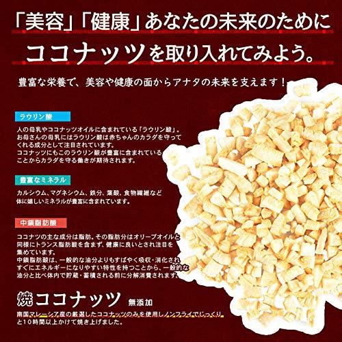 海と太陽 旅する焼ココナッツ 300g ココナッツチャンク チャック袋入