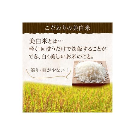 ふるさと納税 令和5年産 新米 美白精米 丹後こしひかり 3kg(2合×10) 1等米 京都府京丹後市