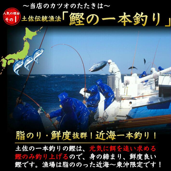 戻り鰹 かつおのたたき 戻り鰹 たっぷり2kg 御中元 誕生日 ギフト 高知 送料無料