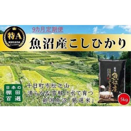 ふるさと納税 「9カ月定期便」日本棚田百選のお米　天空の里・魚沼産こしひかり　５ｋｇ×９回 新潟県十日町市