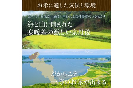 令和5年産 新米 美白精米 丹後こしひかり 5kg 1等米