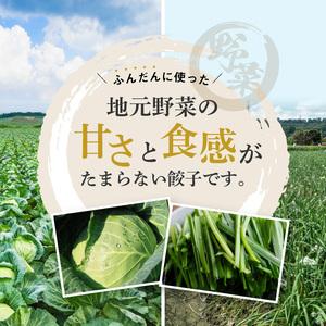 ふるさと納税 たじまやオリジナルビッグ餃子 60個 栃木県真岡市