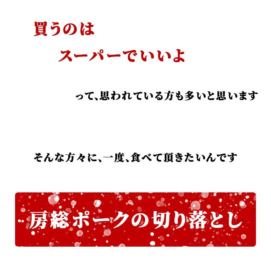 お歳暮 御歳暮 肉 焼肉 豚肉 豚 切り落とし メガ盛り 房総ポーク 千葉県 200g x 6パック 冷凍 プレゼント ギフト 贈り物