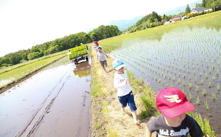 新米 農薬：栽培期間中不使用 あきたこまち 精米 10kg 6ヶ月 定期便  ／ 米 白米