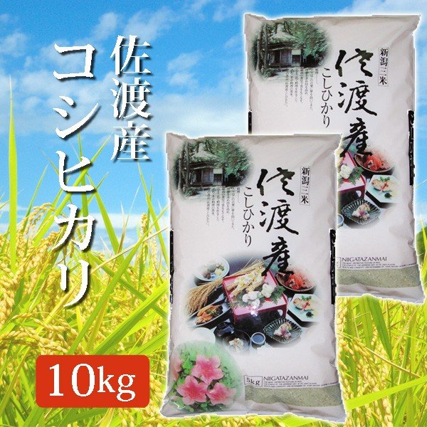 令和5年産 2023年度産 精米 米 佐渡産コシヒカリ こしひかり 精米済 白米 10Kg (10キロ)  5kg×2袋 佐渡産 コシヒカリ 代引不可 同梱不可