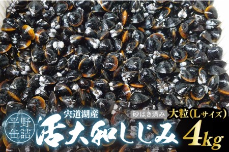 宍道湖産活大和しじみ大粒(L)(砂はき済み)　4㎏　23023-07