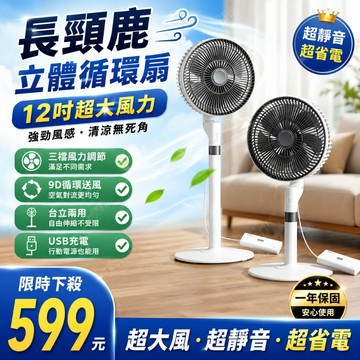 桌面風扇 12吋【免費試用30天/保固二年】超大空氣循環風扇 戶外移動風扇 睡眠扇 靜音風扇 露營風扇 落地扇USB風扇