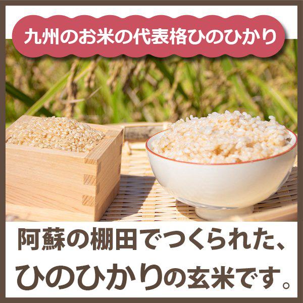 玄米 令和5年産 熊本県ひのひかり 30kg