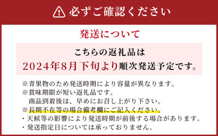 先行予約 産地直送 シャインマスカット 2房セット 約1kg ギフト 贈答品 果物 セット