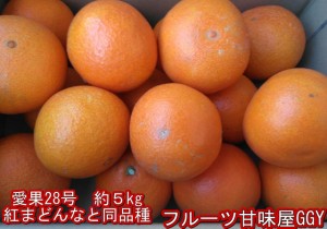 愛果28号　紅まどんなと同品種　愛媛産　1箱約５kg　紅まどんな　紅マドンナ　愛果　あいか　アイカ　80サイズ