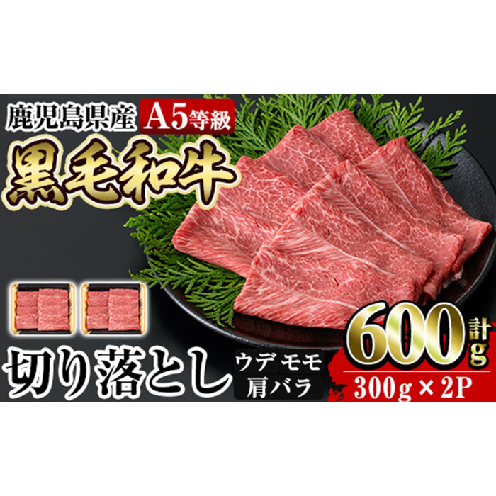 a855 ≪A5等級≫鹿児島県産黒毛和牛切り落とし計600g(300g×2P)姶良市 国産 牛肉 切り落とし