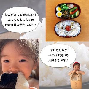 ふるさと納税 淡路島野口ファームの mama-yasaiコシヒカリ 10kg 兵庫県南あわじ市