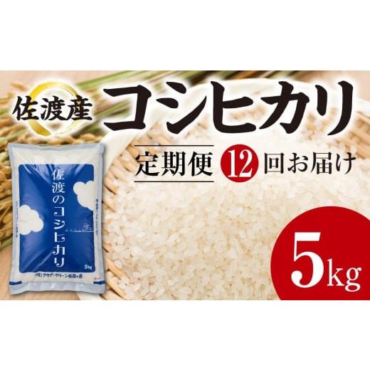 ふるさと納税 新潟県 佐渡市 　佐渡産コシヒカリ　5kg