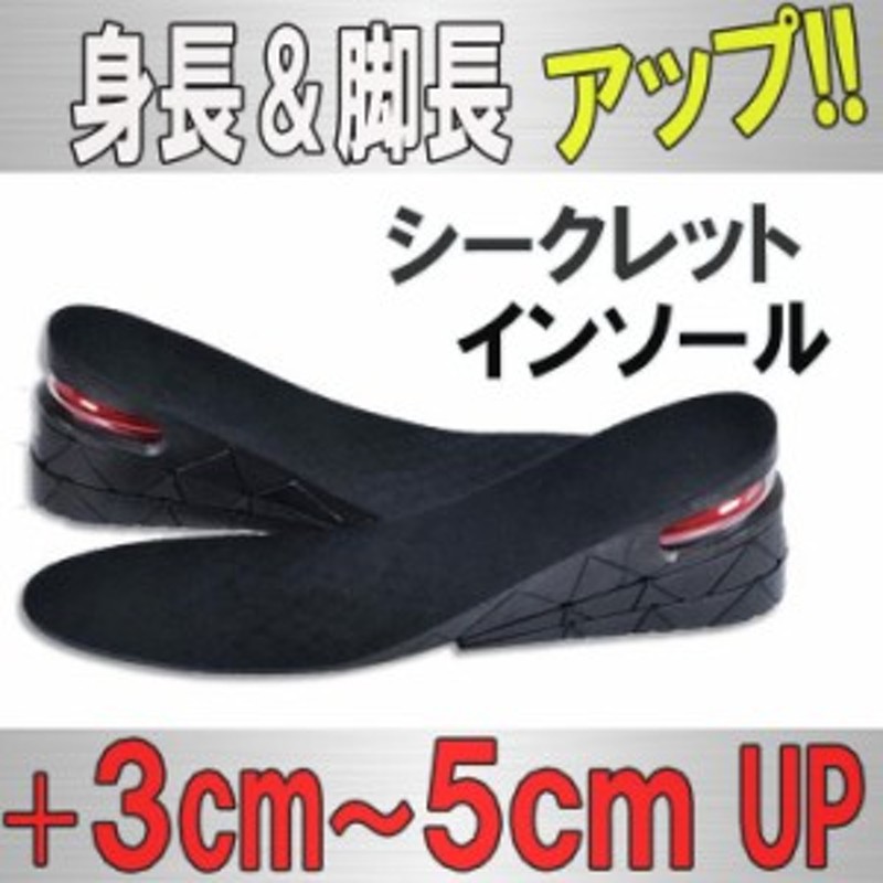 身長アップ 5cm 3cm 2段階調節付 インソール シークレット 中敷き メンズ レディース 背が高くなる 美脚 足長 エアインソール 通販 Lineポイント最大5 0 Get Lineショッピング