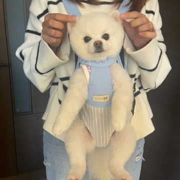 寵物外出包 儲物外出袋 寵物包 狗狗外出包泰迪比熊小型犬便攜夏天透氣雙肩背帶高顏值胸前遛狗包『ZW2507』