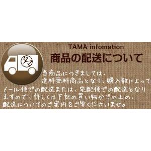 大麦 九州産 250g 押し麦 胚芽押し麦 雑穀 食物繊維 ダイエット 送料無料