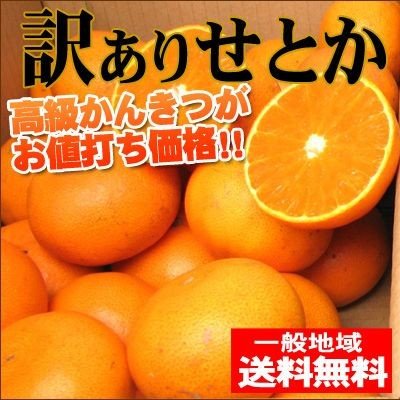 訳ありせとか2kg（傷あり・不揃い）産地直送！送料無料 愛媛県産 フルーツ 果物 くだもの おやつ みかん 柑橘類 ミカン 産地直送