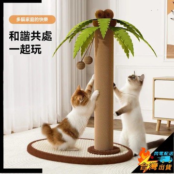 【台灣出貨】劍麻貓抓柱 貓抓板 椰子樹貓爬架 貓咪磨爪玩具 耐磨不掉屑 立式貓爬架 貓玩具 逗貓球 寵物玩具