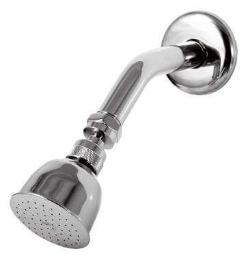 電光美式蓮蓬頭/BF3021