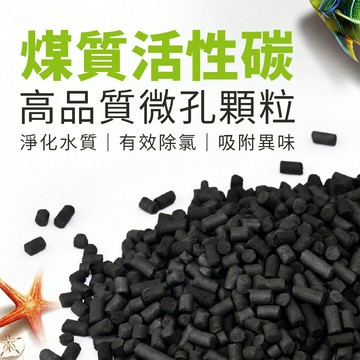 🚚台灣現貨🔥活性碳 煤質活性碳 圓柱狀 除氯 濾材 濾心填充 吸附異味 雜質 甲醛 過濾 過濾器零件 消除 臭味 水處理