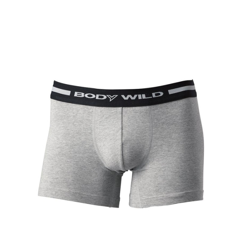 GUNZE BODY WILD ボクサーブリーフ 3枚セット - 通販 - guianegro.com.br