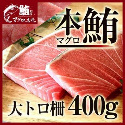 マグロ 刺身 大トロ 本マグロ 柵 ブロック 400g 刺身 おつまみ 解凍レシピ付き 海鮮丼 鮪 海鮮