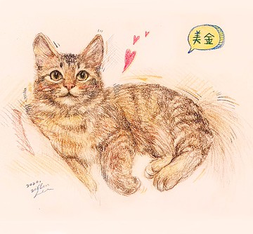 客製化似顏繪禮物 木馬火箭色鉛筆單物件 人像|毛孩 //含框