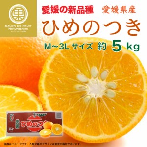 [予約 2024年2月中下旬頃から発送] ひめのつき 約5kg M-3Lサイズ 愛媛県産 産地箱 高糖度 みかん 柑橘 柑橘王国愛媛 JA全農えひめ 上級品