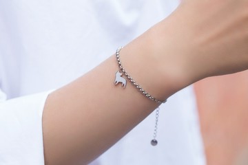 法鬥手鍊-狗狗背影系列-抗敏醫療鋼