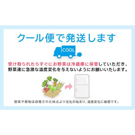 ふるさと納税 期間限定！季節の野菜・加工品 7〜10種以上 詰合せ「おもいでな野菜セット」 [e26-a001.. 福井県越前町