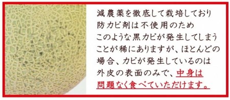 アールスメロン 2玉（3.5キロ以上）   長崎県農産品流通合同会社   長崎県 雲仙市 [item0085]   野菜 果物 フルーツ メロン 期間限定