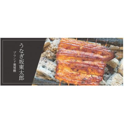 ふるさと納税 銚子市 うなぎ坂東太郎の蒲焼 中3串