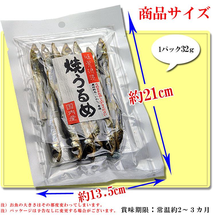 干物 国産 小魚 焼きうるめ うるめイワシ丸干し 32g×2個（ 無添加 塩のみ おつまみ つまみ ）焼 うるめいわし 焼うるめ 食べる小魚 めざし うるめ いわし