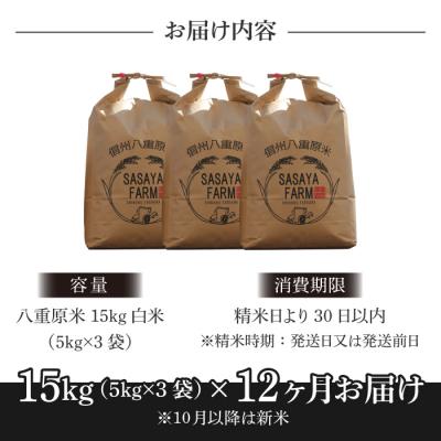 ふるさと納税 東御市 八重原米 精米 15kg (5kg×3袋)