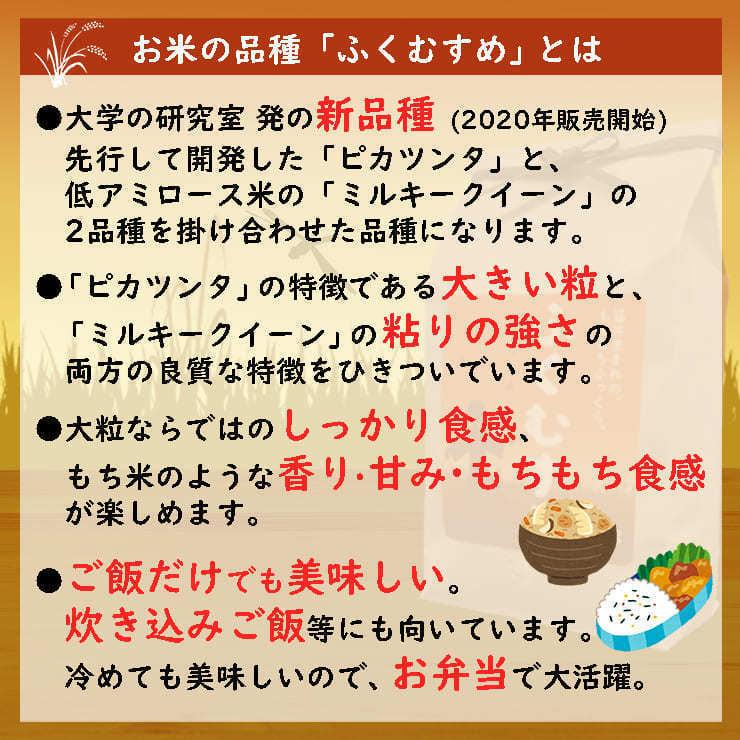 新米 20kg ふくむすめ 5kg×4袋 白米 福井県産 令和5年産 送料無料