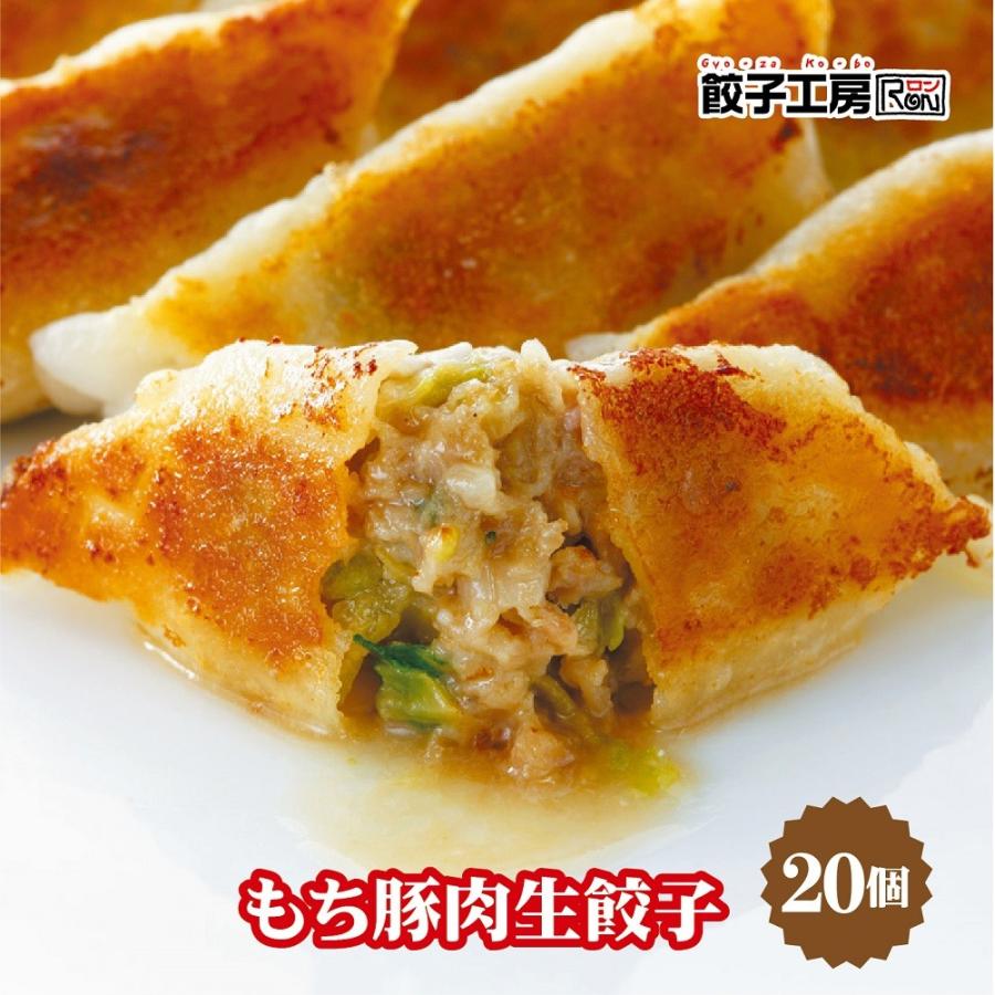  人気の餃子セット ／  送料無料（沖縄別途送料）当店で人気の餃子詰め合わせ！ 餃子工房 ロン みまつ食品