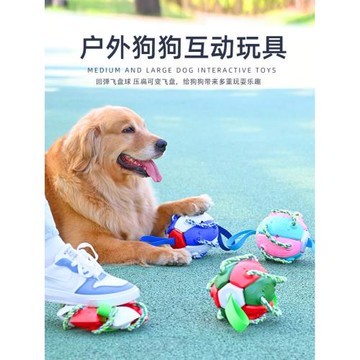 寵物用品新款狗玩具戶外訓練飛盤互動回彈足球狗耐啃咬磨牙繩子