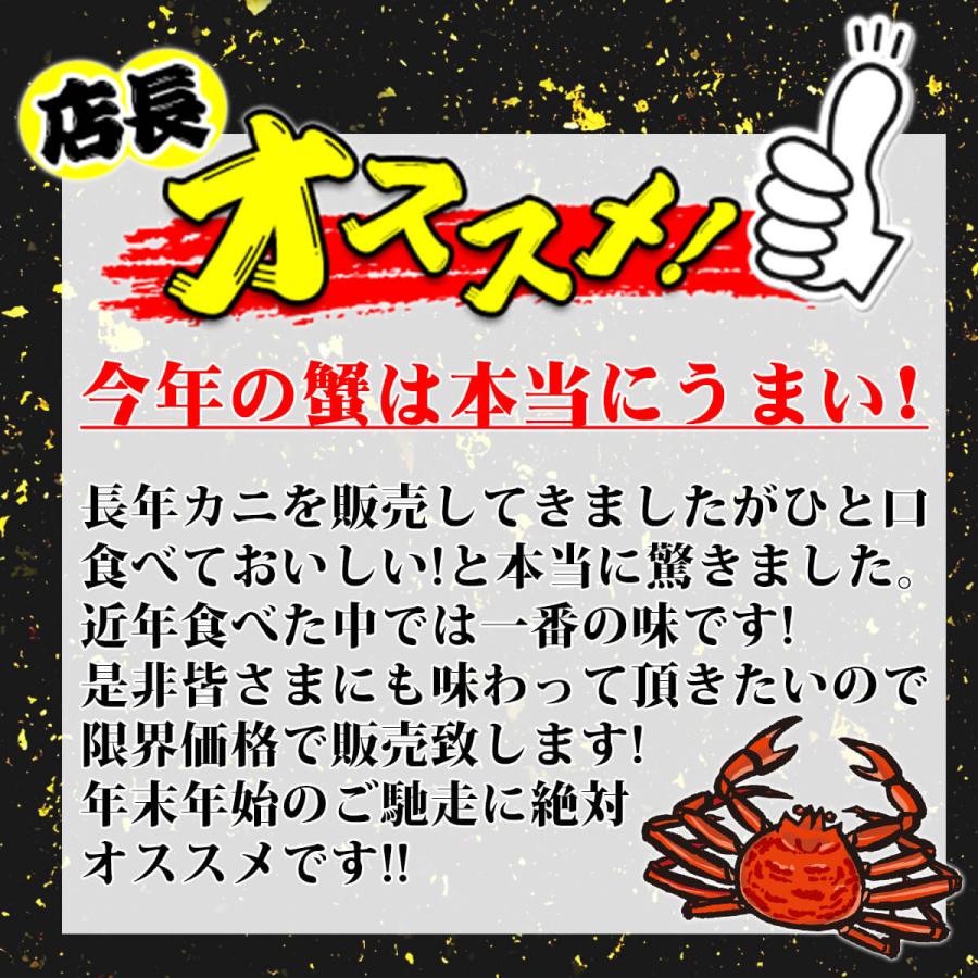 かに カニ ズワイガニ ボイル 蟹脚 総重量3kg 2Lサイズ 10〜14肩入り 送料無料 ずわいがに 鍋 贈答 プレゼント 最安値に挑戦