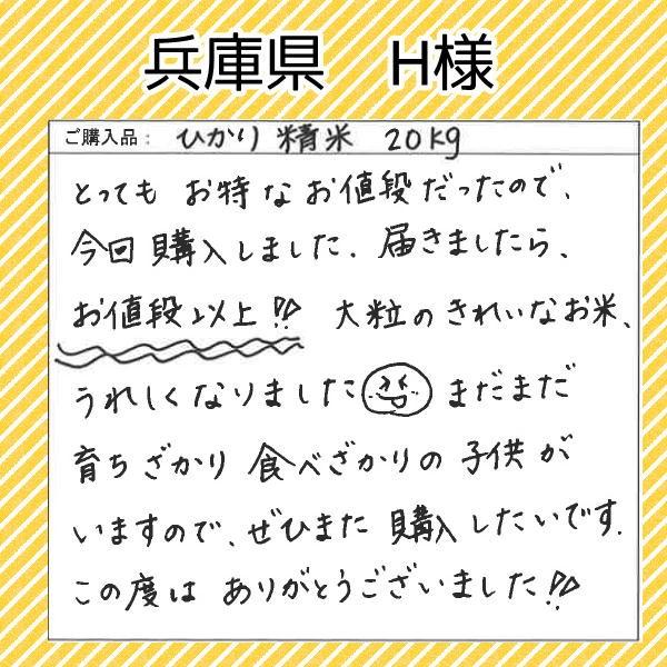 米 10kg 送料無料 国内産 ひかり精米 白米 ブレンド米 家庭応援