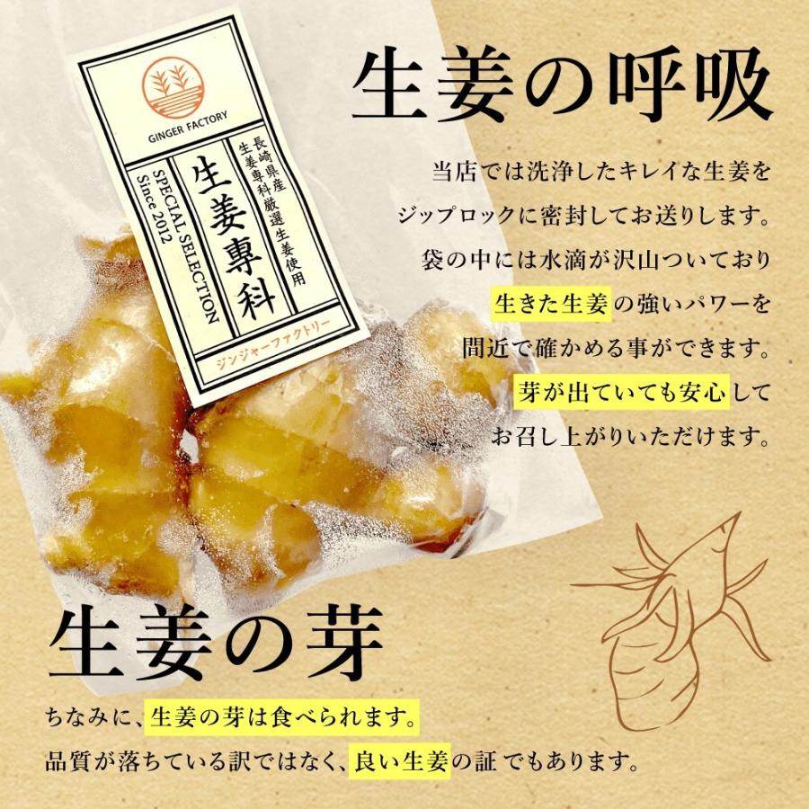 無農薬 生姜 500g 熊本県産 国産 生姜 しょうが ショウガ 根生姜 佃煮 薬味 きざみ 生姜 生姜焼き 唐揚げ