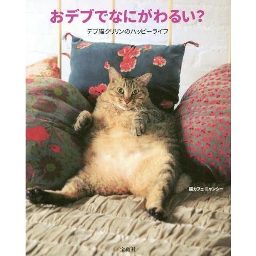 宝島社 おデブでなにがわるい デブ猫クリリンのハッピーライフ 猫カフェニャンシー