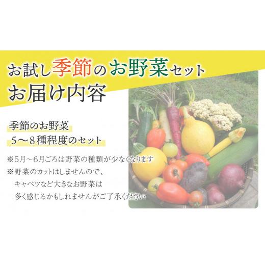 ふるさと納税 長野県 東御市 お一人様向け、お試し季節のお野菜セット