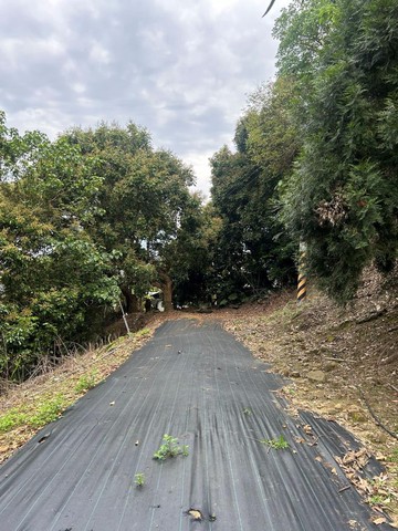 #中寮建地+800多株有價樹木千坪農地｜南投縣中寮鄉新二重溪段