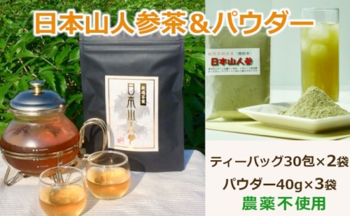 ★希少★日本山人参茶＆パウダーで健康に！ティーバッグ30包×2袋 パウダー40g×3袋 農薬不使用