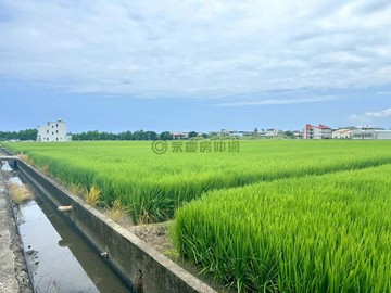 宜蘭壯圍中興段近國五足坪農地1095坪｜宜蘭縣壯圍鄉中興段