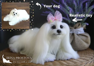 马耳他狗  写实玩具