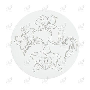 精緻時尚陶瓷吸水杯墊(蘭花)杯墊 陶瓷杯墊 吸水杯墊 可吸水 送禮小物 婚禮小物 企業送禮 紀念品